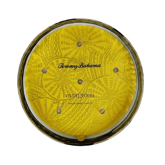 Tommy Bahama Evergreen Candle Antique Sapphire Blue Glass 6 Wick Fir Pine Cedar - Picture 5 of 6